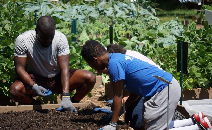 32583Celebrate the End of Summer with our Entertaining and Engaging August Programming