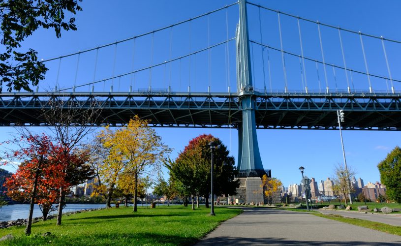 32781Hear Why 2025 Was Special from the RIPA Team!